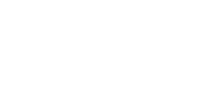 Von Eicken logo