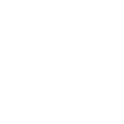 Friwo logo