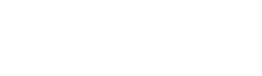 Nexigo logo