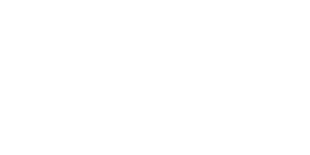 Sesotec logo