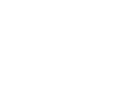Vienesse logo